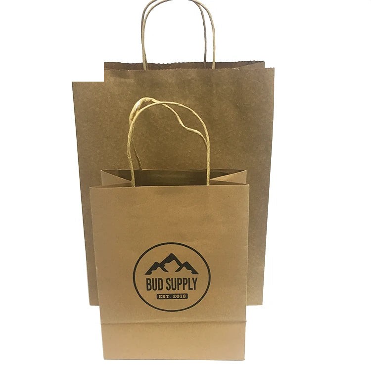 Customized Shopping Gift Brown Kraft Paper Bag with Twisted