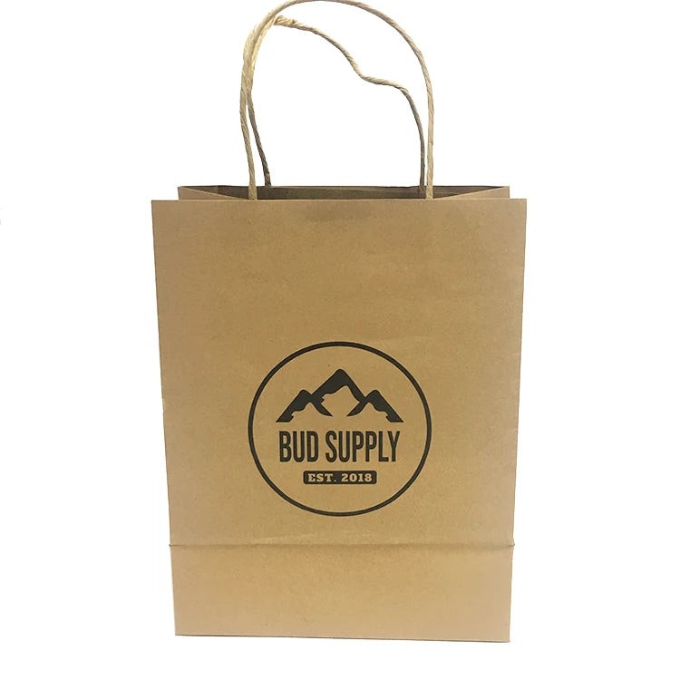 Customized Shopping Gift Brown Kraft Paper Bag with Twisted Customized Shopping Gift Brown Kraft Paper Bag with Twisted