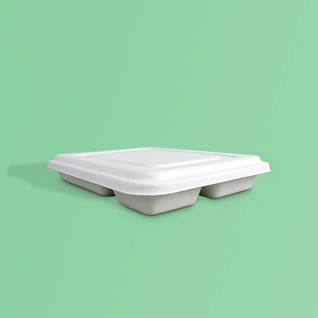 High-End Custom Biodegradable Sugar Cane Syrup Plate 5 High-End Custom Biodegradable Sugar Cane Syrup Plate 5