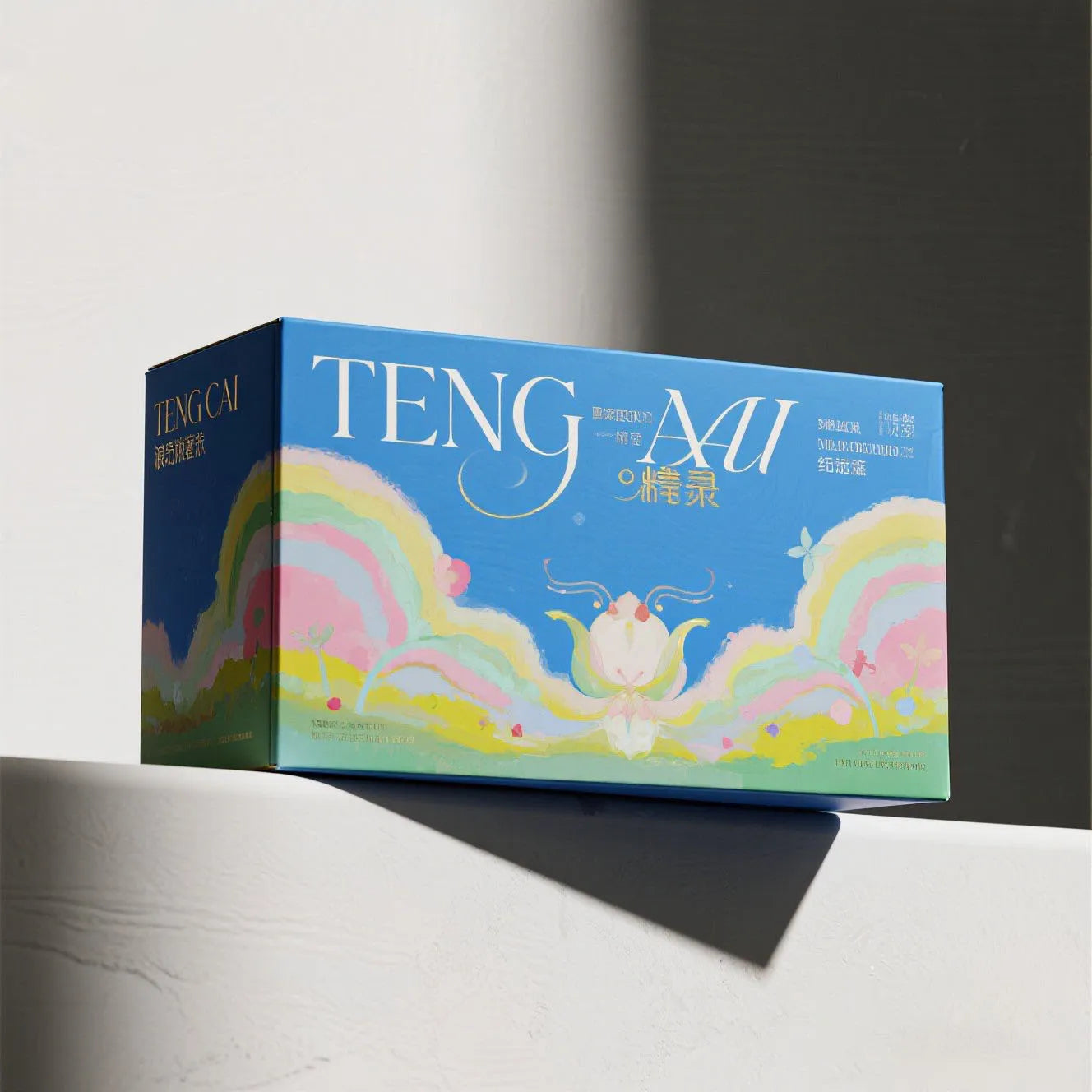 OEM Personalized Eco Boxes Corrugated Gift Mailer Folding OEM Personalized Eco Boxes Corrugated Gift Mailer Folding