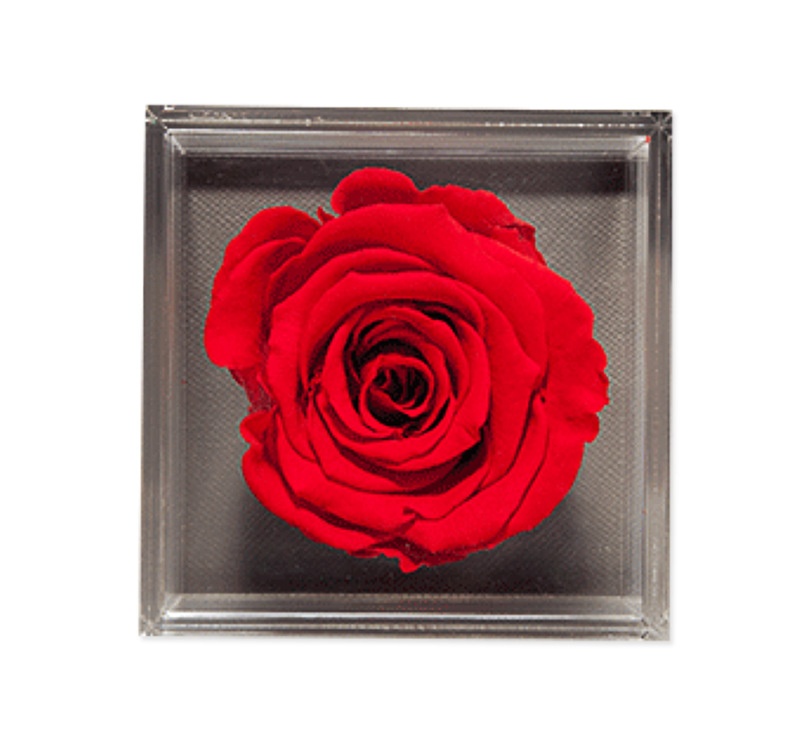 Acrylic flower box for preserved roses jewelry boxes Acrylic flower box for preserved roses jewelry boxes