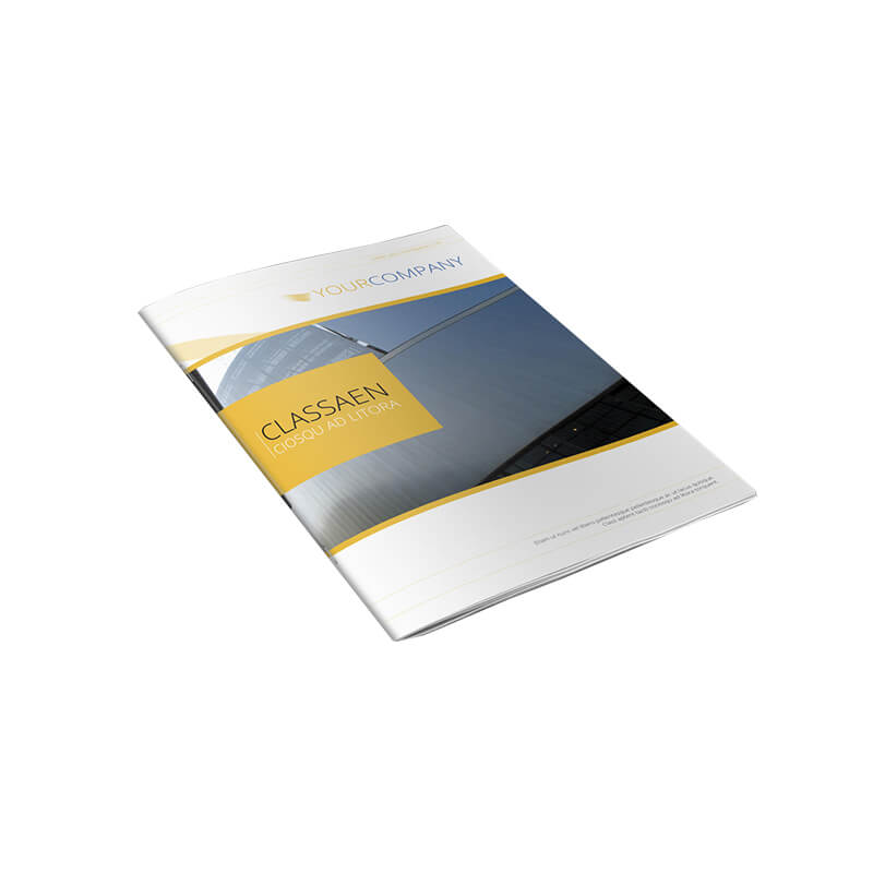 Customized fold brochure/colorful paper advertising leaflets