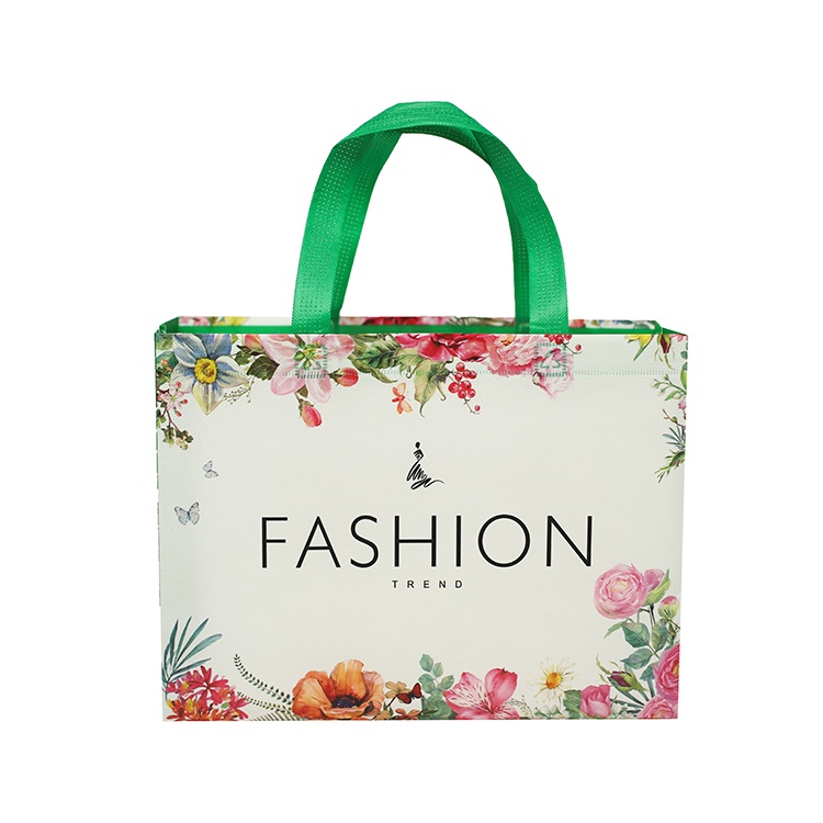 Non woven promotion shopping bag Non woven promotion shopping bag
