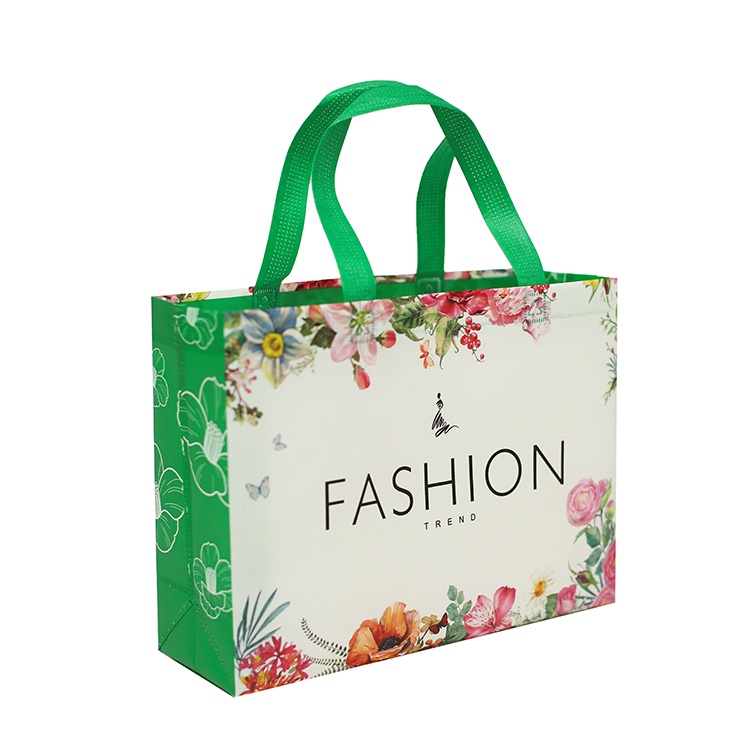 Non woven promotion shopping bag Non woven promotion shopping bag