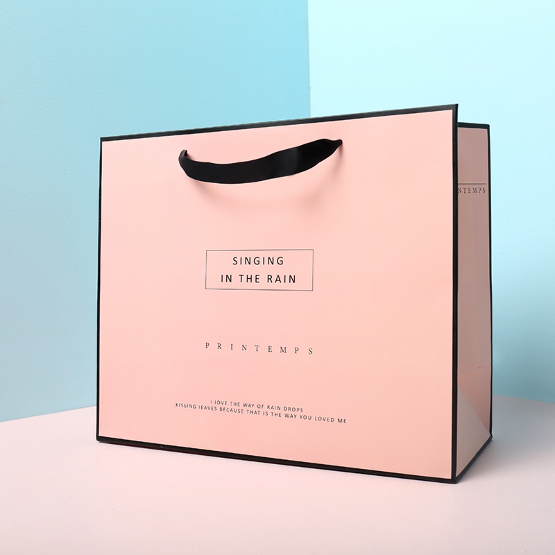 Shopping Printed Paper Bag Shopping Printed Paper Bag