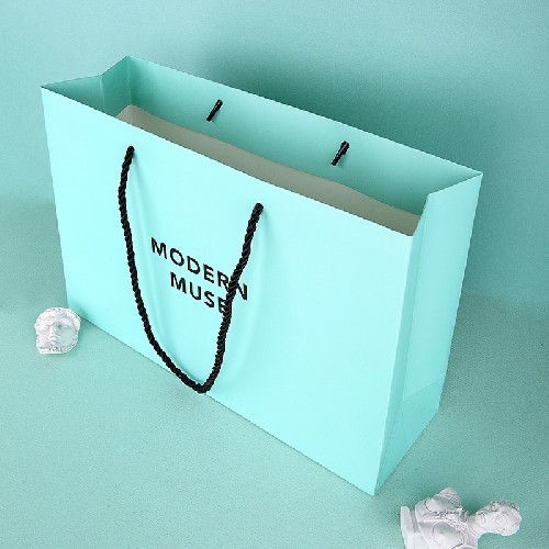 Thick Paper Gift Bag with Handles Thick Paper Gift Bag with Handles