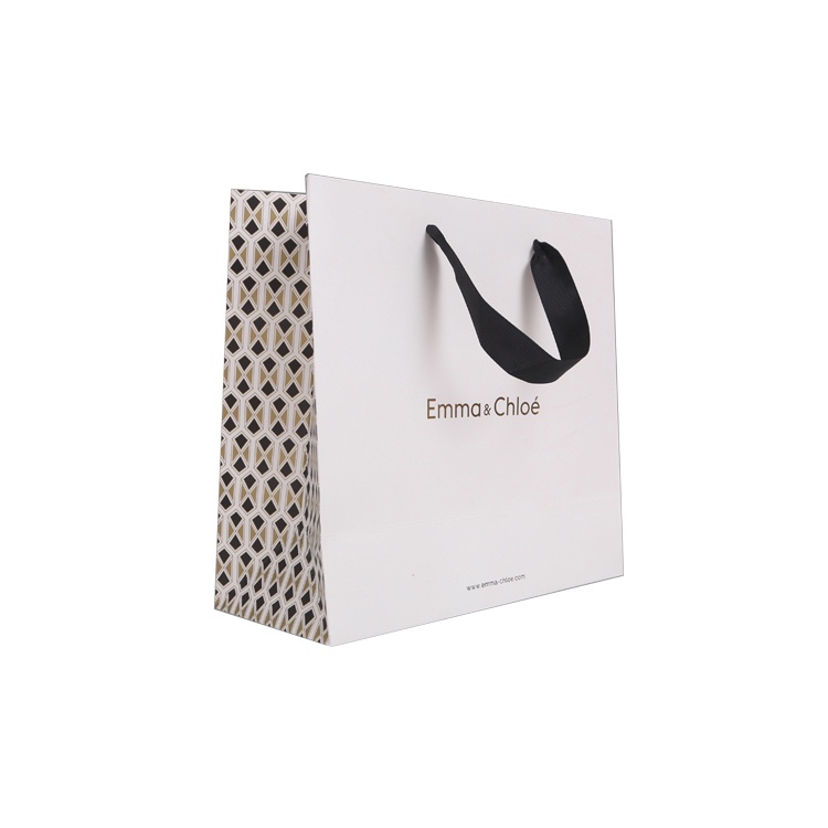 Shopping Printed Paper Bag Shopping Printed Paper Bag