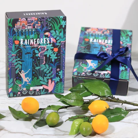 Rectangular clothing packaging paper box
