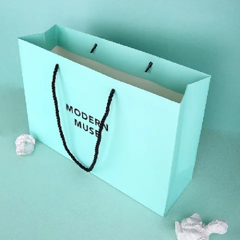 Thick Paper Gift Bag with Handles