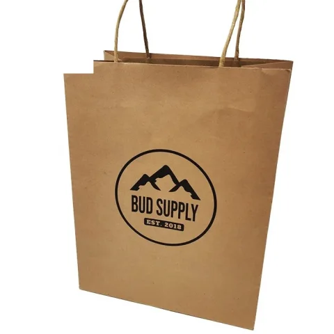 Custom Kraft Paper Shopping Bag with Printed Logo