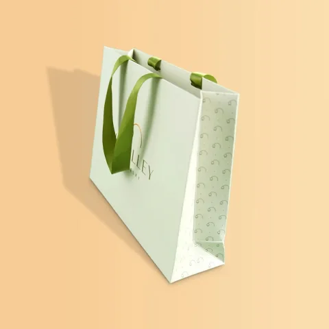 Art Paper Tote Gift Bag with Ribbon