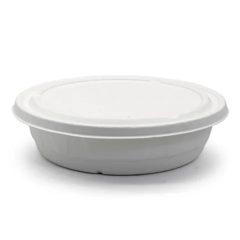 Custom Sugarcane Pulp Food Bowl