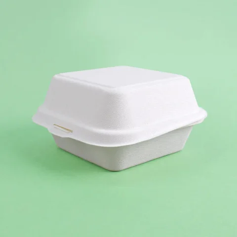 Sugarcane Pulp Lunch Food Container