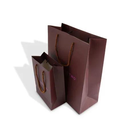 Custom Brown Art Paper Gift Bag with Handles