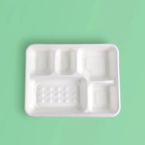 Five-Compartment Sugarcane Pulp Lunch Plate